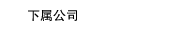 ˾