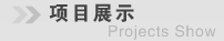 Ŀչʾ